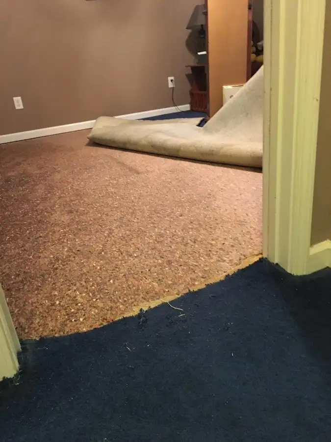 Carpet pad removal revealing water damage during Drying & Dehumidification in Harrisburg