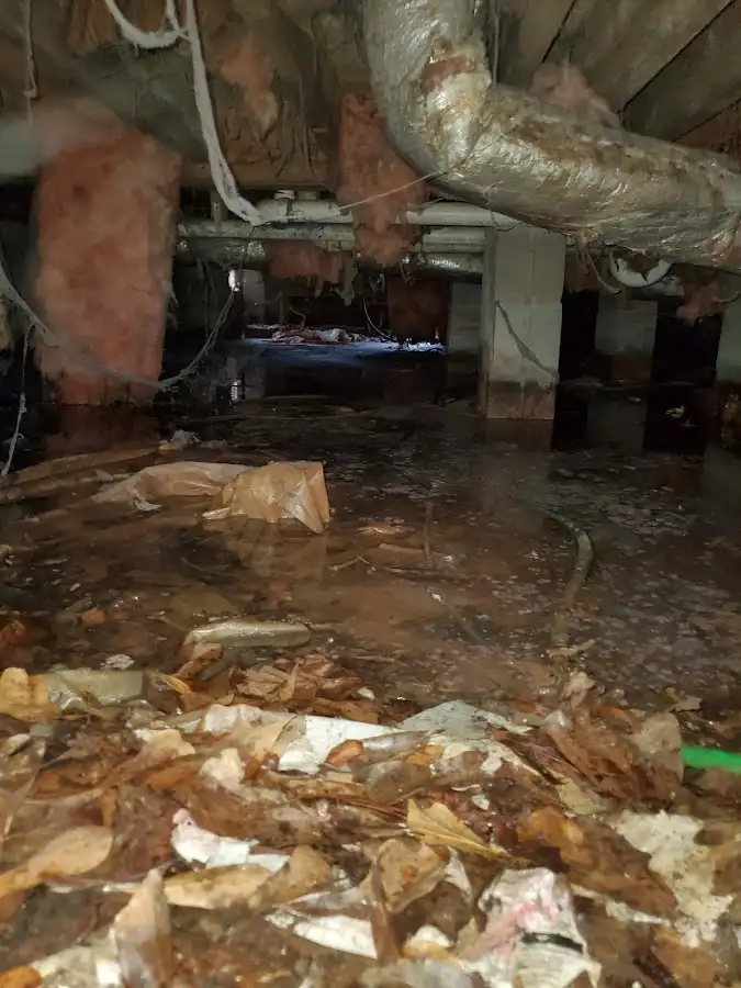 Crawl space flood assessment for Leak Detection & Repair in Harrisburg